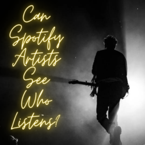 Can Spotify Artists See Who Listens?