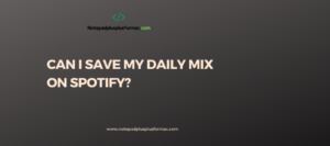 Can I Save My Daily Mix On Spotify?